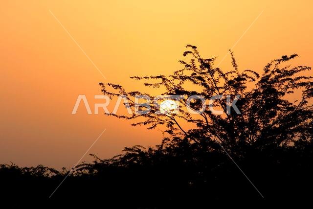 sunset  with jeddah landscapes