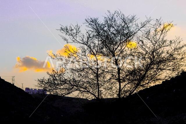sunset  with jeddah landscapes