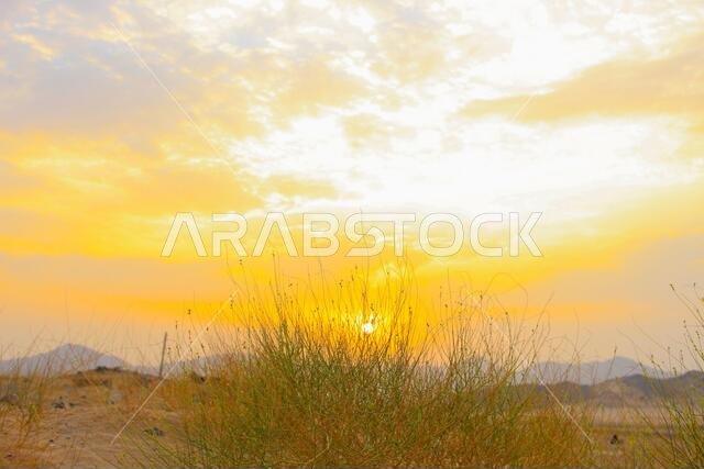 غروب الشمس مع مناظر جدة الطبيعية