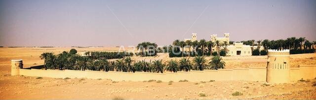 Historic building and palm trees in the Saudi desert