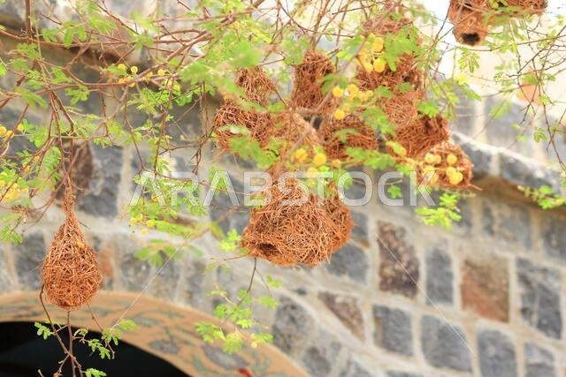 old wrick wall texture in historiocal city jeddah