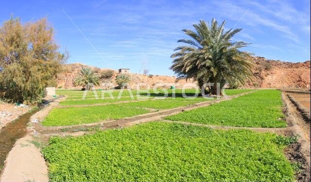 مناظر طبيعية في الطائف، المملكة العربية السعودية
