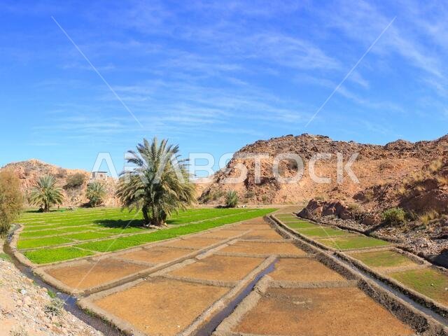 مناظر طبيعية في الطائف، المملكة العربية السعودية