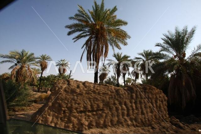 Khaybar to the north of Medina in the Hejaz. Before the advent of Islam in the 7th century CE, indigenous Arabs, as well as Jews,