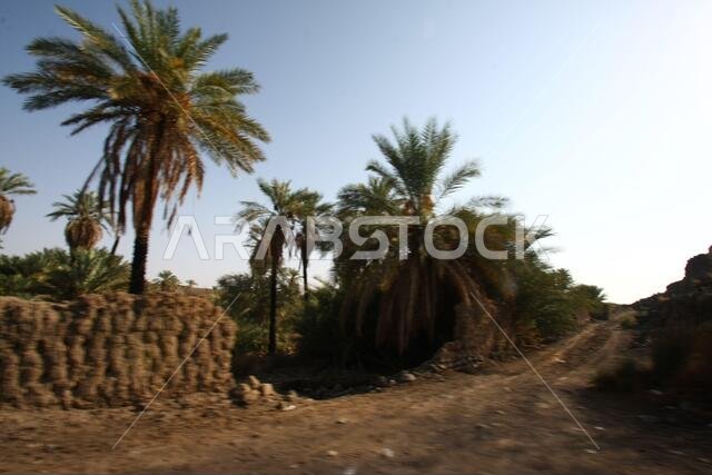 Khaybar to the north of Medina in the Hejaz. Before the advent of Islam in the 7th century CE, indigenous Arabs, as well as Jews,