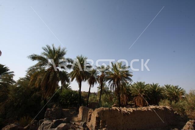 تقع خيبر شمال المدينة المنورة في الحجاز. قبل ظهور الإسلام في القرن السابع الميلادي، كان يسكنها العرب الأصليون، بالإضافة إلى اليهود.