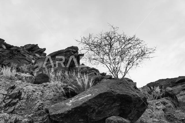 Jabal al-Thawr (Mount Thawr) makkah