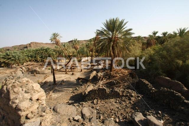 تقع خيبر شمال المدينة المنورة في الحجاز. قبل ظهور الإسلام في القرن السابع الميلادي، كان يسكنها العرب الأصليون، بالإضافة إلى اليهود.