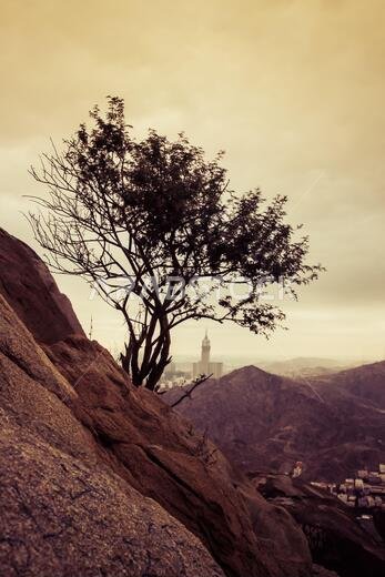 Jabal al-Thawr (Mount Thawr) makkah