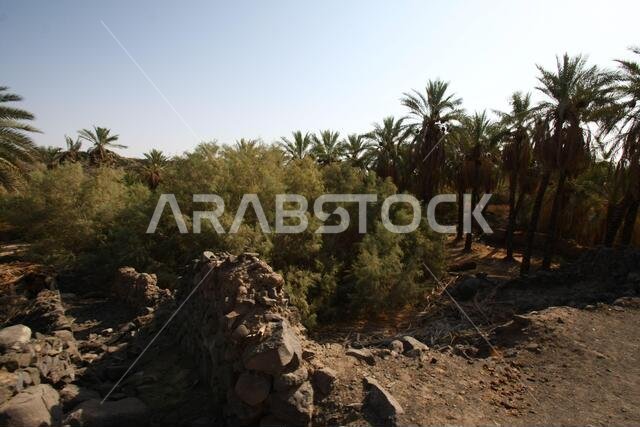 تقع خيبر شمال المدينة المنورة في الحجاز. قبل ظهور الإسلام في القرن السابع الميلادي، كان يسكنها العرب الأصليون، بالإضافة إلى اليهود.
