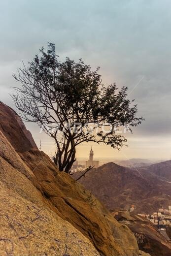 جبل الثور (جبل الثور) بمكة جبل الثور (جبل الثور) بمكة