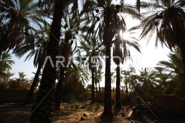 تقع خيبر شمال المدينة المنورة في الحجاز. قبل ظهور الإسلام في القرن السابع الميلادي، كان يسكنها العرب الأصليون، بالإضافة إلى اليهود.