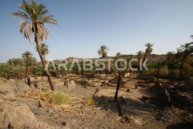 تقع خيبر شمال المدينة المنورة في الحجاز. قبل ظهور الإسلام في القرن السابع الميلادي، كان يسكنها العرب الأصليون، بالإضافة إلى اليهود. تقع خيبر شمال المدينة المنورة في الحجاز. قبل ظهور الإسلام في القرن السابع الميلادي، كان يسكنها العرب الأصليون، بالإضافة إلى اليهود.