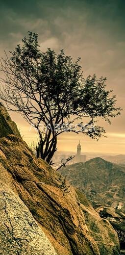 Jabal al-Thawr (Mount Thawr) makkah