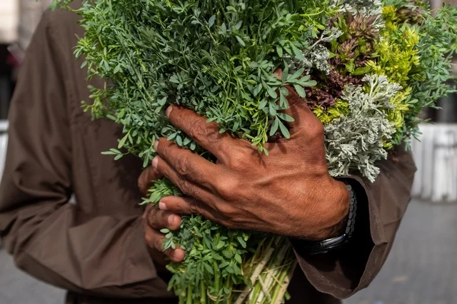 رجل يرتدي ثوباً يحمل باقة من النباتات العطرية الخضراء