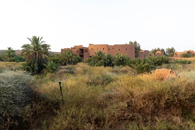 Abandoned Mud Brick Houses in Desert Palm Oasis