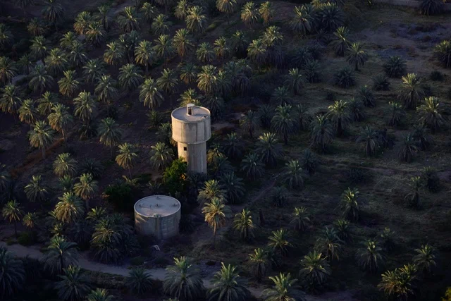 Aerial View of Saudi Palm Tree Farm with Water Tower