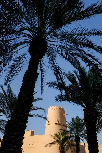Al Masmak Fortress Riyadh with Palm Tree Silhouette