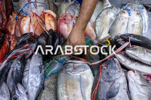 عرض الأسماك الطازجة في سوق السمك الشعبي