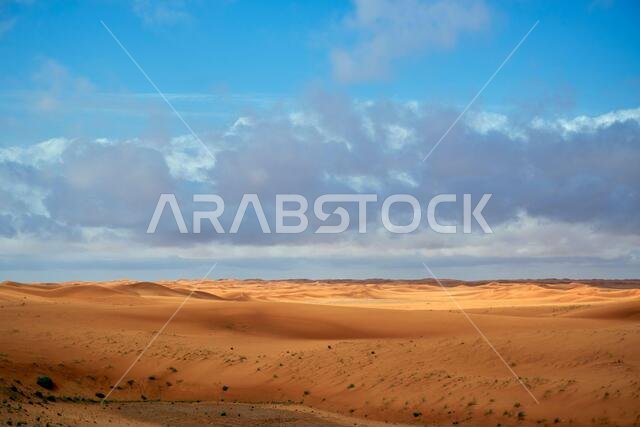 منظر للصحراء في المملكة العربية السعودية