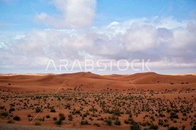view of the desert in saudi arabia
