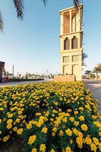 منظر مسائي رائع في حديقة الدمام - المدينة: الدمام، المملكة العربية السعودية. تم التركيز على جزء محدد من الصورة مع تشويش الخلفية.