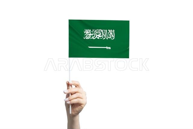 Beautiful female hand holding Saudi Arabia flag, isolated on white background.