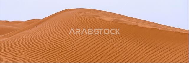 Bend of the ridge of a sand dune in the desert.