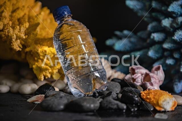 a water bottle on pebbles Photography