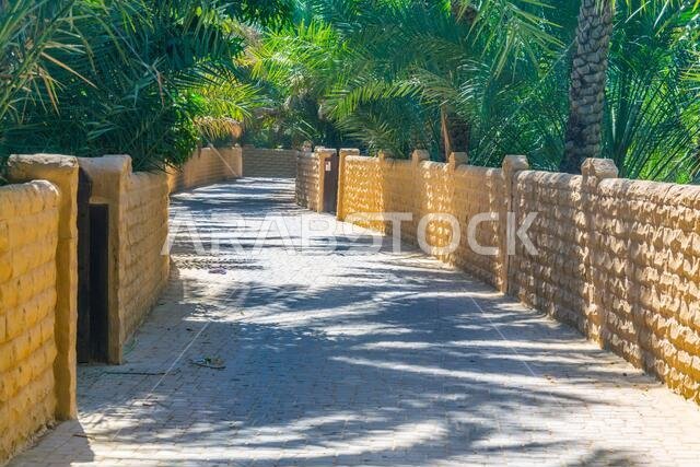 View of the unesco enlisted oasis in Al Ain, UAE