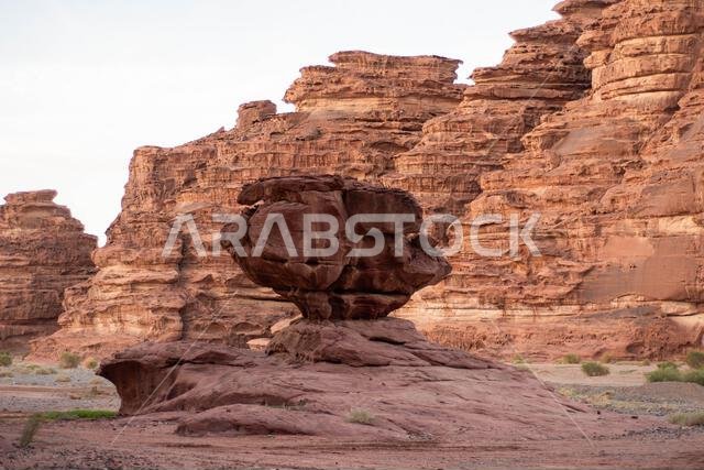 باجدة، نيوم