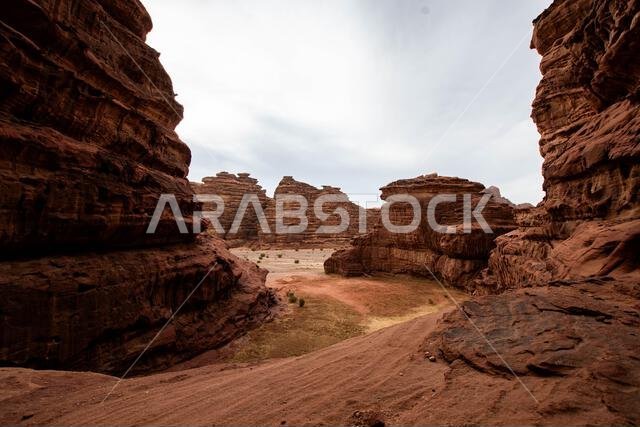 Bajdah, Neom