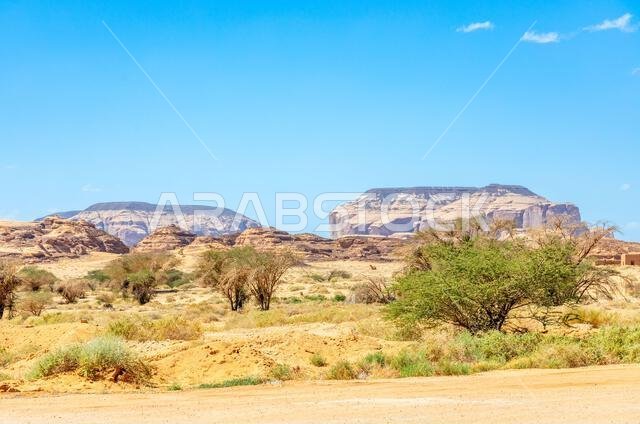 منظر صحراوي مع تكوينات جبلية في الحِجر، العلا، المملكة العربية السعودية