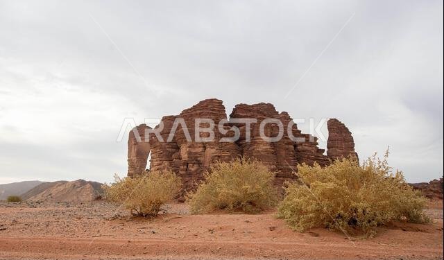 Bajdah, Neom