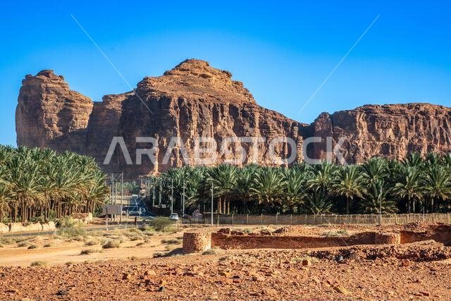 جبال صحراوية تضم آثار دادان وطريقاً تصطف على جانبيه أشجار النخيل، العلا، مدائن صالح، المملكة العربية السعودية