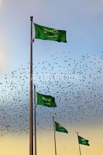 National flag of Saudi Arabia waving among birds flying in the sky. Symbol of freedom.Islamic religion flag.