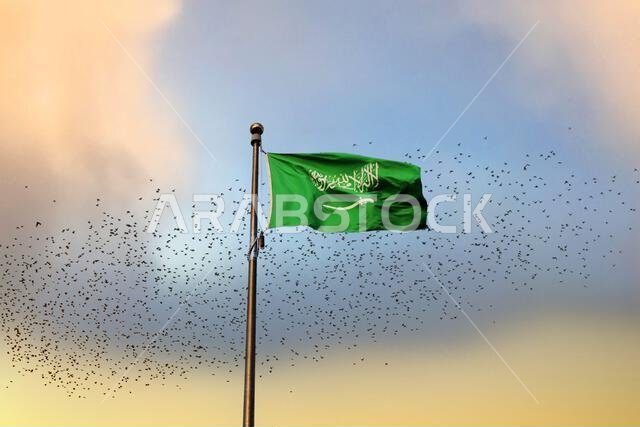 National flag of Saudi Arabia waving among birds flying in the sky. Symbol of freedom.Islamic religion flag.