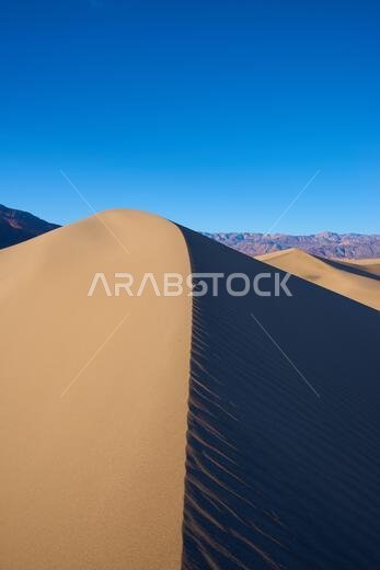 صحراء عميقة، وكثبان رملية، واستكشافات مغامرة.