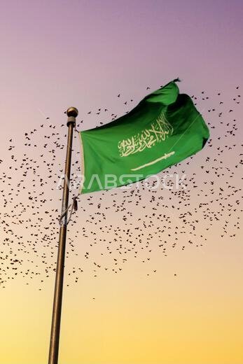 National flag of Saudi Arabia waving among birds flying in the sky. Symbol of freedom.Islamic religion flag.