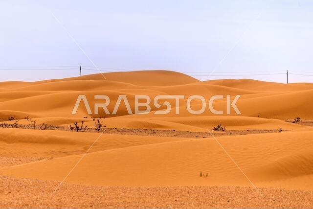 Bend of the ridge of a sand dune in the desert.