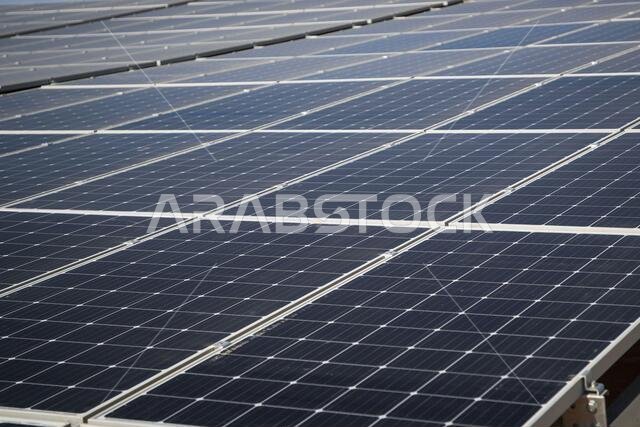 Neom, Saudi Arabia. 11th Jan, 2021. Solar Panel of Green Corp during the 8th stage of the Dakar 2021 between Sakaka and Neom, in Saudi Arabia on January 11, 2021 - Photo Julien Delfosse/DPPI/LM Credit: Gruppo Editoriale LiveMedia/Alamy Live News