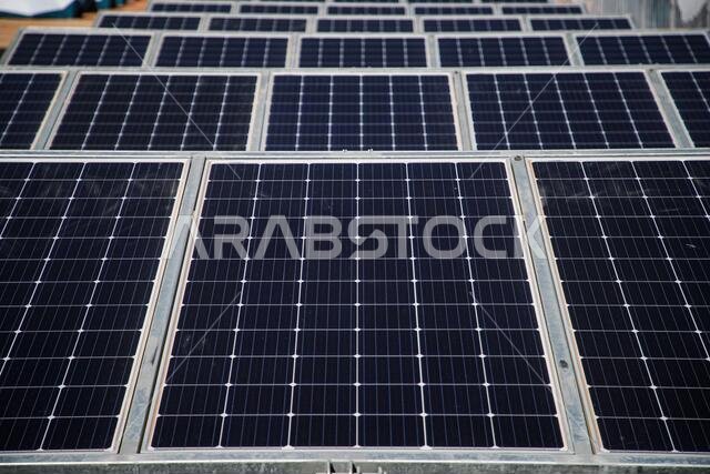 Neom, Saudi Arabia. 11th Jan, 2021. Solar Panel of Green Corp during the 8th stage of the Dakar 2021 between Sakaka and Neom, in Saudi Arabia on January 11, 2021 - Photo Julien Delfosse/DPPI/LM Credit: Gruppo Editoriale LiveMedia/Alamy Live News