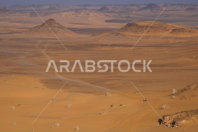 Neom, Saudi Arabia. 11th Jan, 2021. #01 Brabec Ricky (usa), Honda, Monster Energy Honda Team 2021, Motul, Moto, Bike, action during the 8th stage of the Dakar 2021 between Sakaka and Neom, in Saudi Arabia on January 11, 2021 - Photo Eric Vargiolu/DPPI/LM Credit: Gruppo Editoriale LiveMedia/Alamy Live News