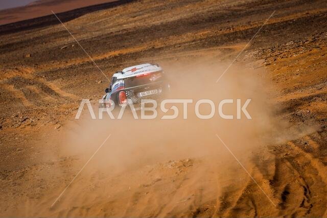 Neom, Saudi Arabia. 11th Jan, 2021. 317 Vasilyev Vladimir (rus), Tsyro Dmitro (ukr), BMW, X-Raid Mini JCW Rally Team, Auto, action during the 8th stage of the Dakar 2021 between Sakaka and Neom, in Saudi Arabia on January 11, 2021 - Photo Florent Gooden/DPPI/LM Credit: Gruppo Editoriale LiveMedia/Alamy Live News