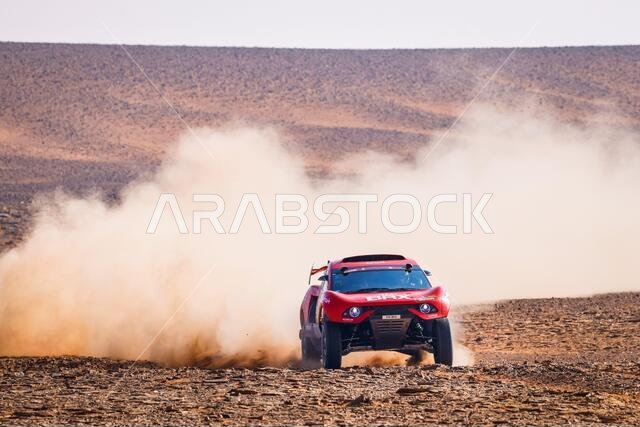 311 Roma Nani (esp), Winocq Alexandre (fra), Hunter, Bahrain Raid Extreme, BRX, Auto, action during the 8th stage of the Dakar 2021 between Sakaka and Neom, in Saudi Arabia on January 11, 2021 - Photo Frederic Le Floc'h / DPPI / LM 311 Roma Nani (esp), Winocq Alexandre (fra), Hunter, Bahrain Raid Extreme, BRX, Auto, action during the 8th stage of the Dakar 2021 between Sakaka and Neom, in Saudi Arabia on January 11, 2021 - Photo Frederic Le Floc'h / DPPI / LM