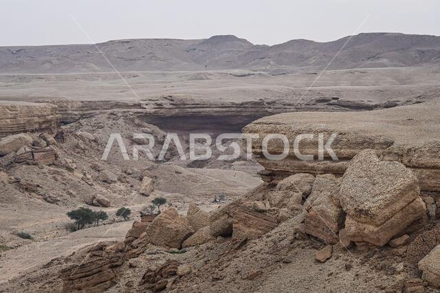 Buraydah, Saudi Arabia. 07th Jan, 2021. Landscape during the 5th stage of the Dakar 2021 between Riyadh and Al Qaisumah, in Saudi Arabia on January 7, 2021 - Photo Eric Vargiolu/DPPI/LM Credit: Gruppo Editoriale LiveMedia/Alamy Live News Buraydah, Saudi Arabia. 07th Jan, 2021. Landscape during the 5th stage of the Dakar 2021 between Riyadh and Al Qaisumah, in Saudi Arabia on January 7, 2021 - Photo Eric Vargiolu/DPPI/LM Credit: Gruppo Editoriale LiveMedia/Alamy Live News