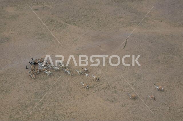 Buraydah, Saudi Arabia. 07th Jan, 2021. Landscape during the 5th stage of the Dakar 2021 between Riyadh and Al Qaisumah, in Saudi Arabia on January 7, 2021 - Photo Eric Vargiolu/DPPI/LM Credit: Gruppo Editoriale LiveMedia/Alamy Live News