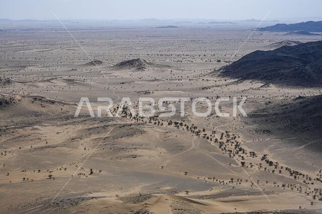 Landscape during the 2nd stage of the Dakar 2021 between Bisha and Wadi Al Dawasir, in Saudi Arabia on January 4, 2021 - Photo Eric Vargiolu / DPPI / LM Landscape during the 2nd stage of the Dakar 2021 between Bisha and Wadi Al Dawasir, in Saudi Arabia on January 4, 2021 - Photo Eric Vargiolu / DPPI / LM