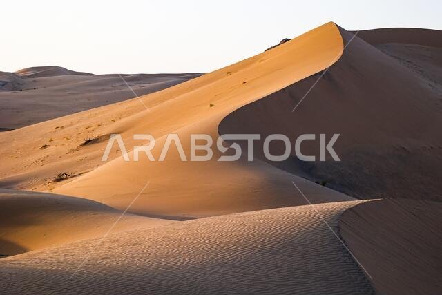 مياه، المملكة العربية السعودية. 4 يناير 2021. مشهد طبيعي خلال المرحلة الثانية من رالي داكار 2021 بين بيشة ووادي الدواسر، المملكة العربية السعودية، في 4 يناير 2021 - صورة فلورنت غودن/DPPI/LM. حقوق الصورة: LiveMedia/Alamy Live News Publishing Group مياه، المملكة العربية السعودية. 4 يناير 2021. مشهد طبيعي خلال المرحلة الثانية من رالي داكار 2021 بين بيشة ووادي الدواسر، المملكة العربية السعودية، في 4 يناير 2021 - صورة فلورنت غودن/DPPI/LM. حقوق الصورة: LiveMedia/Alamy Live News Publishing Group