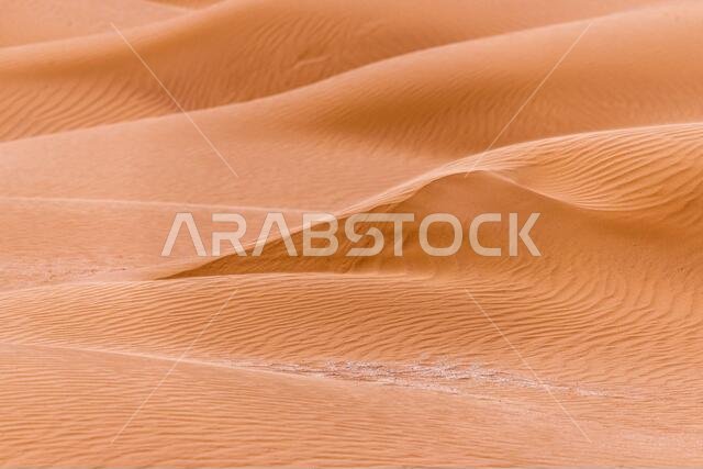 Bend of the ridge of a sand dune in the desert.